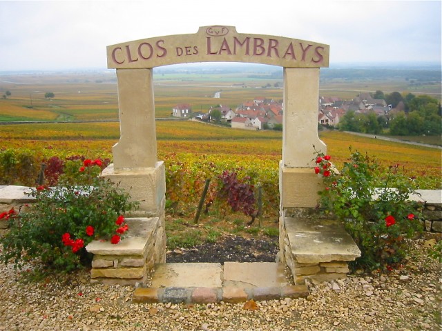 Burgundy land offers reach fever pitch