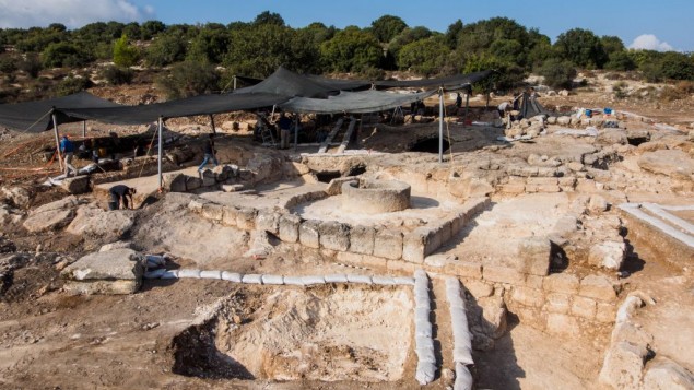 Ancient industrial winery unearthed