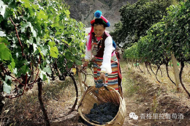 【茨中教堂】久远的故事,难忘的情怀