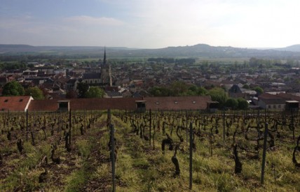 French police investigate harvest worker 'abuse' near Champagne vineyards