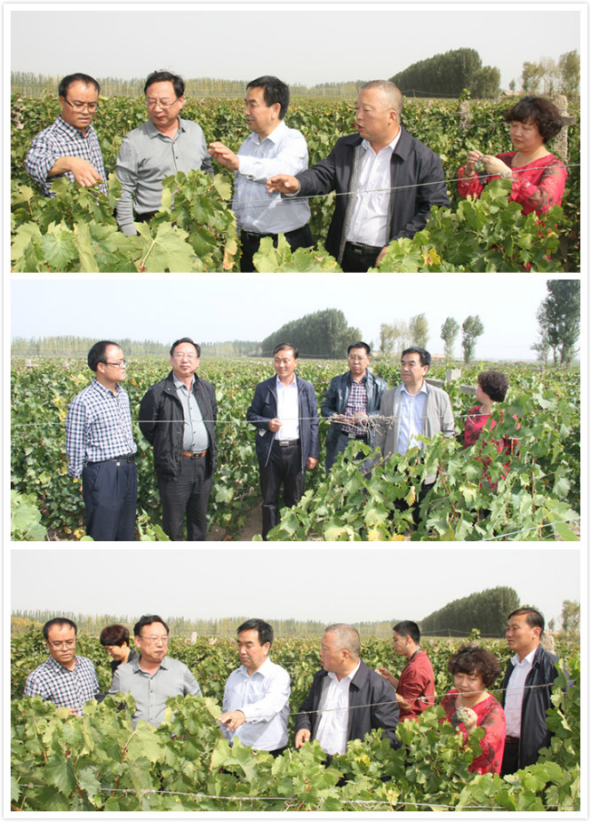 国家林业局干部管理学院常务副院长张建民等领导考察祁连葡萄酒业