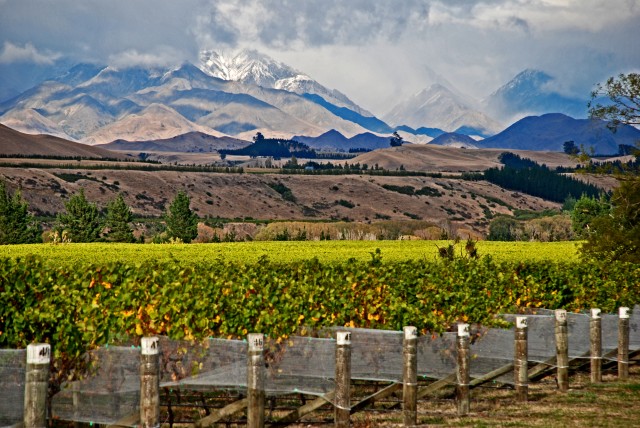 EU grants NZ organic wine parity