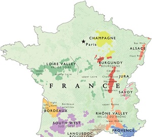 France's "biggest opportunity"in wine is online, say experts