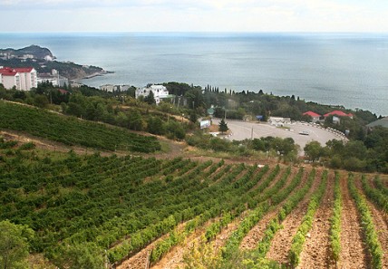 Russia to invest 250m in Crimean wine industry 