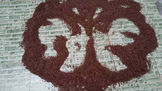 Appreciation of Artworks made by grape seeds