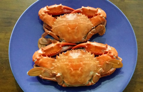 Wine & Dine (205):Chateau Yuhuang Italian Riesling Pairs with Steamed Crab