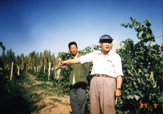 楼兰酒庄:丝路明珠