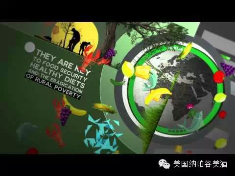 神秘的天象星象与葡萄种植