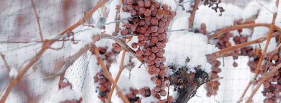 ���ô󡢵¹���ʼ���ձ�����