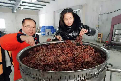 广东酒协走访冰酒产区桓仁 冰酒-食品商务网资讯