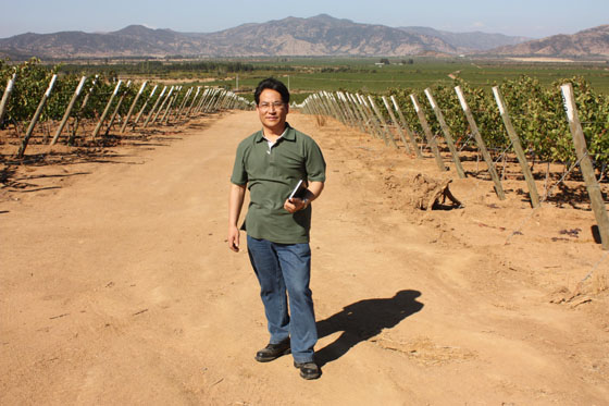 Chinese Winemakers (54) Wu Lizhu: Uncrowned Winemaker