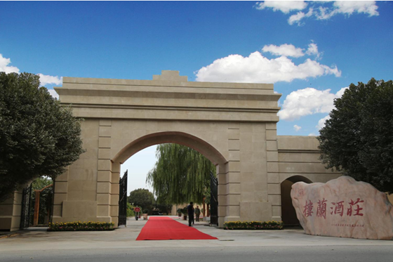 【中国葡萄酒探源⑬】探寻,葡萄酒中千年楼兰香