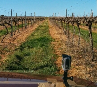 Robotic cars to help wine growers predict future yield