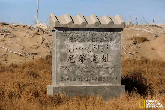 【中国葡萄酒探源⑱】穿越千年,探寻尼雅神秘之旅