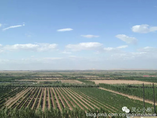 【美酒地理】走进新疆焉耆葡萄酒节 戈壁绿洲惹人醉(上)