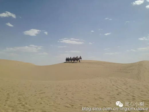【美酒地理】走进新疆焉耆葡萄酒节 戈壁绿洲惹人醉(上)