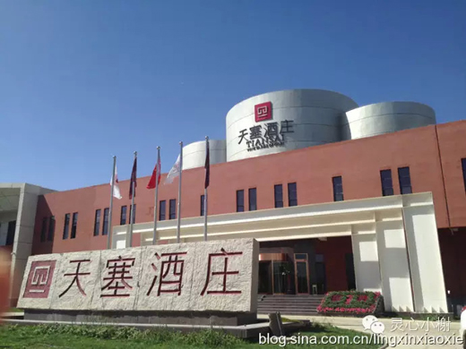 【美酒地理】走进新疆焉耆葡萄酒节 戈壁绿洲惹人醉(上)