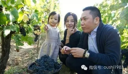 法国人终于看透了:中国人买的是城堡,不是酒庄