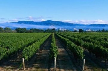 贺兰山东麓葡萄酒产区组团亮相全国春季糖酒会 