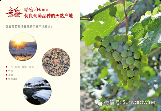 新雅葡萄酒——在最适宜的土壤中孕育