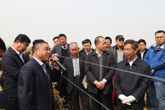 春耕展藤活动为中国葡萄酒文化添彩