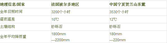 葡萄酒灵魂的孕育——广夏