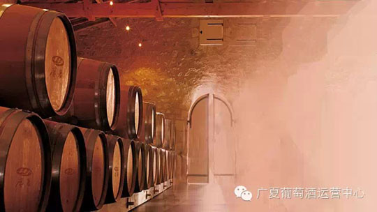 葡萄酒灵魂的孕育——广夏