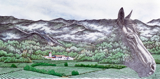 瑞云庄园,一段葡萄藤与石头交织的杯酒人生-中