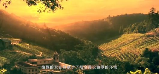 Video:Know Yantai Wines in 9 Minutes