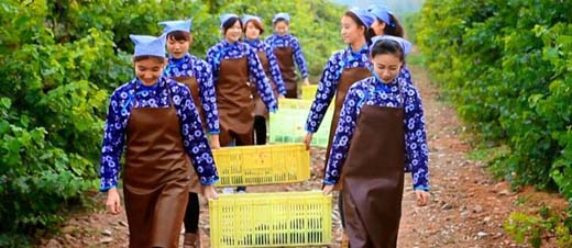 ��һ��ȥ����ͷ ������ׯ�����