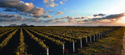 ��һ��ȥ����ͷ ������ׯ�����