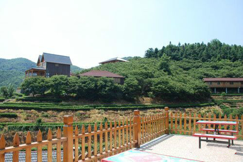 ��һ��ȥ����ͷ ������ׯ�����