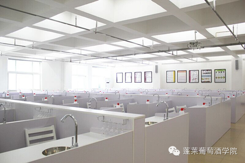 关于举办2015年葡萄酒《品酒师》国家职业资格培训与鉴定的通知