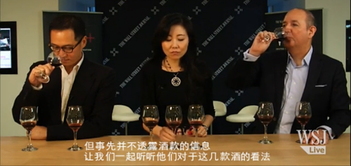Video:Whether China can make high quality wines?