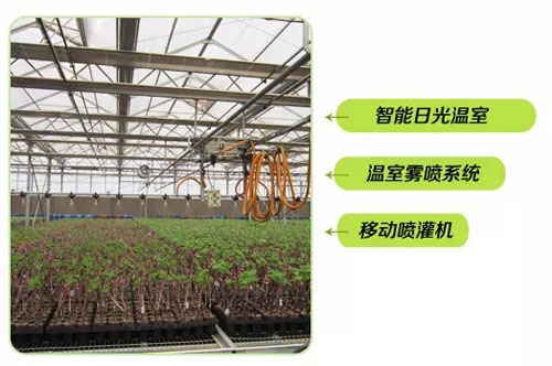 苗圃(Nursery)管理系列介绍:叫我“新代接生婆”!