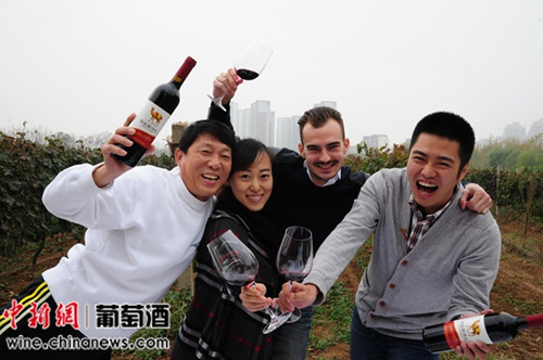 张裕醉诗仙赤霞珠被评为山东高性价比干红