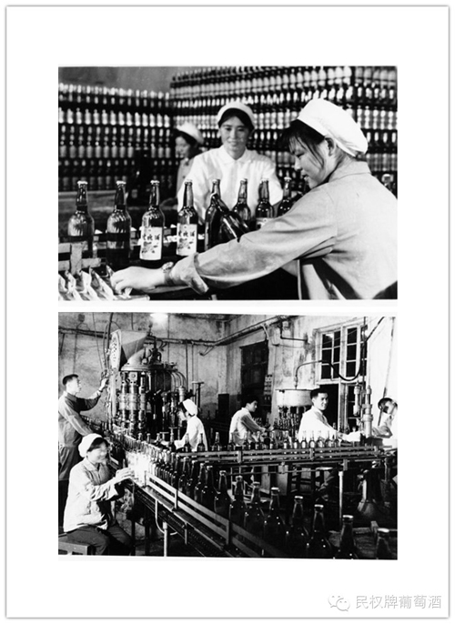 【中国葡萄酒探源(47)】民权九鼎酒庄溯源(一)艰苦创业,民权葡萄酒横空出世