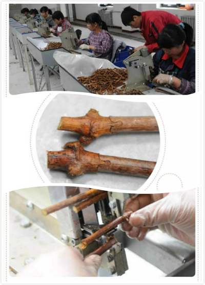 育苗利器——Ω 嫁接机