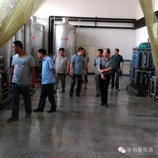茅台葡萄酒公司组织开展“安全生产月”活动