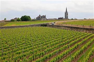 France plans to lure more tourists with wine tours