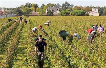 France plans to lure more tourists with wine tours