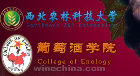 【葡粹动态】国菲酒庄与环塔力赛共同启程