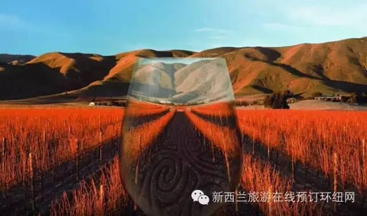 当旅游遇上葡萄酒:新西兰品酒圣地一览