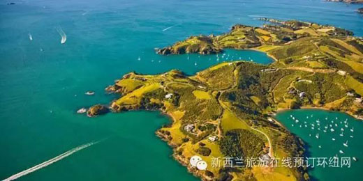 当旅游遇上葡萄酒:新西兰品酒圣地一览
