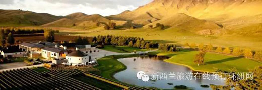 当旅游遇上葡萄酒:新西兰品酒圣地一览