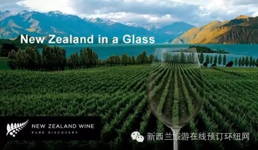 当旅游遇上葡萄酒:新西兰品酒圣地一览