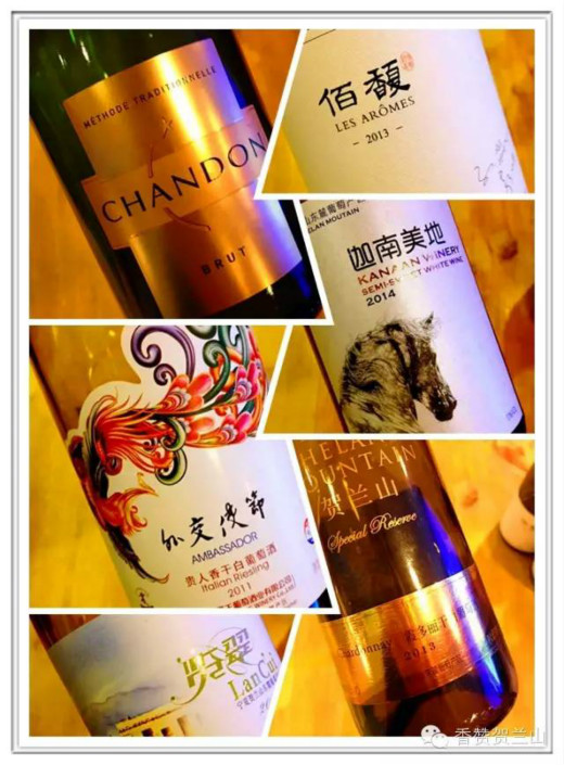 贺兰山东麓白葡萄酒专场上海站6月19日举办