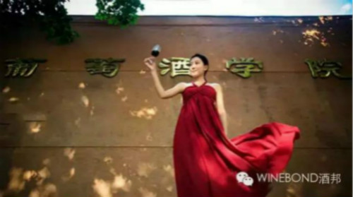 盘点国内的葡萄酒院校