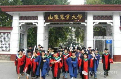 盘点国内的葡萄酒院校