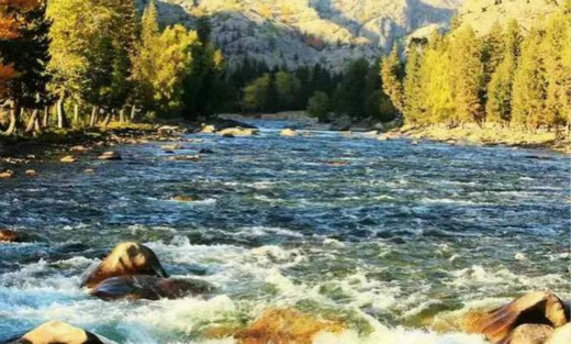 塔里木盆地有多少荒地 20150625154125749.jpg